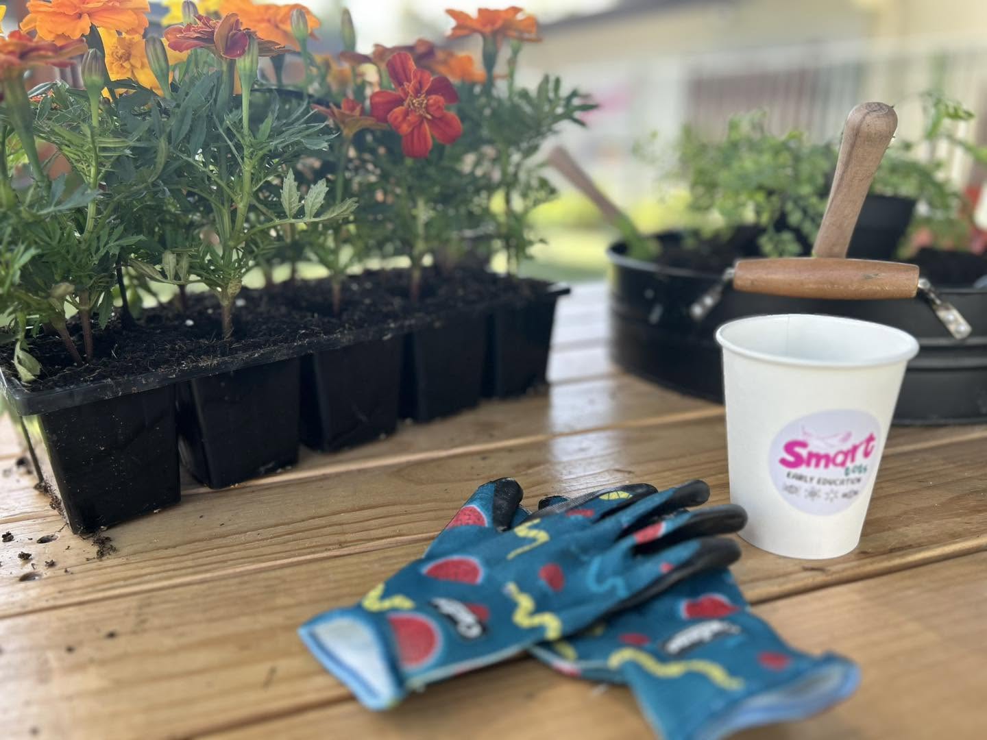 Planting at Smart Tots